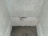 mortex (64)